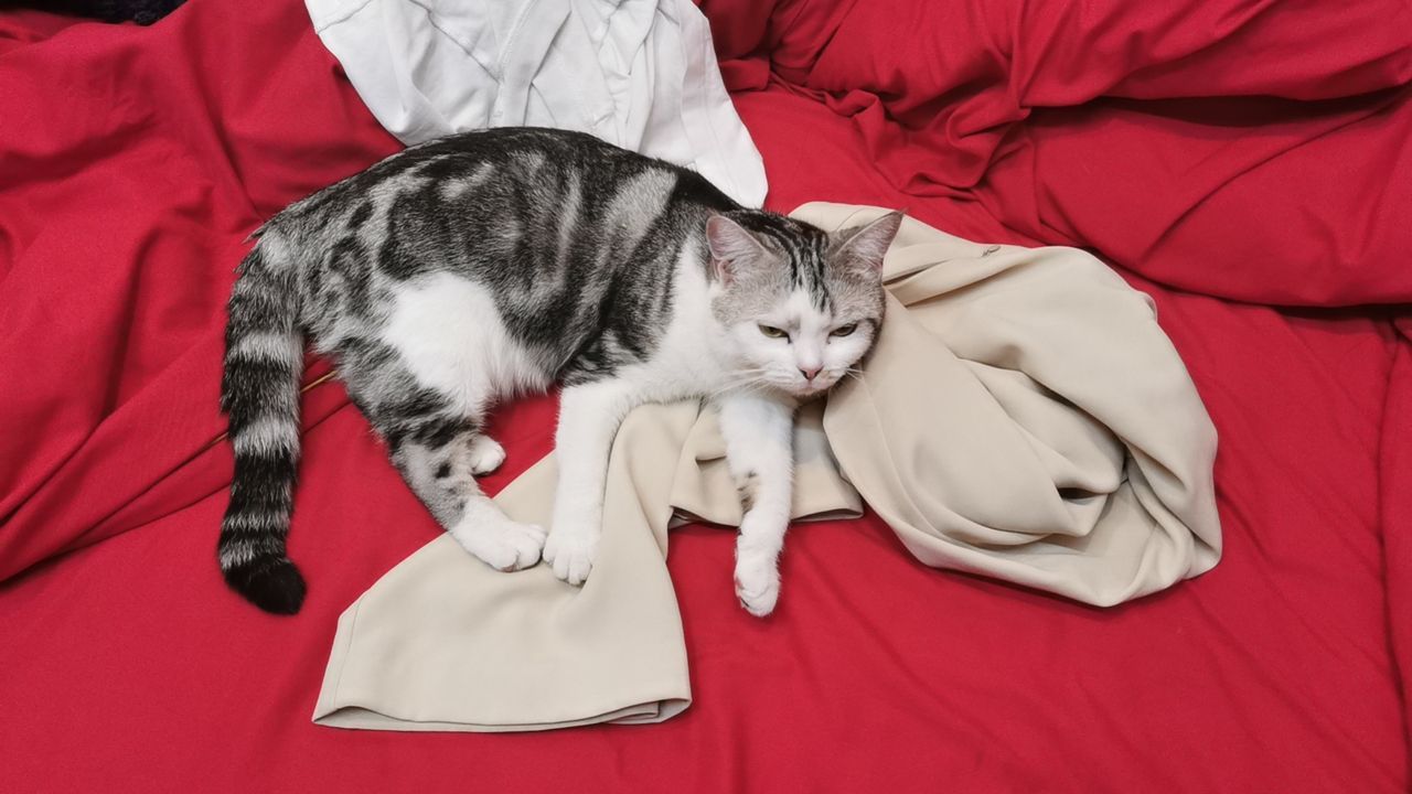 Mine Now