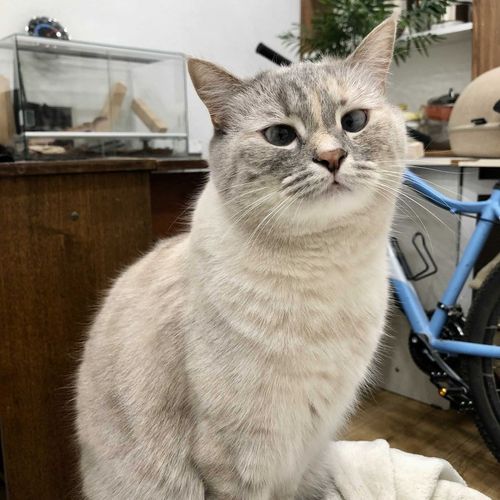 cmdragon's Blog