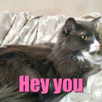 you show up on my phone and i start smiling before i even open the chat.