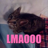 you say one funny thing and i am grinning at my phone like an idiot.