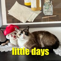 i want to stare at the moon with you and still think, "nice try, but she's prettier"