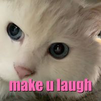 i want to make you laugh and then immediately get too proud of myself