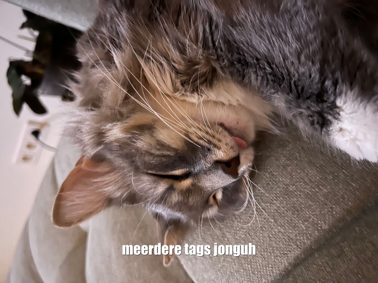 Voorbeeld van meerdere tags in een pad