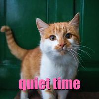 i want us to just be around, doing nothing