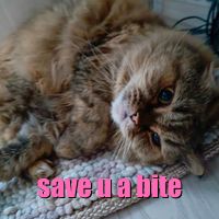 i want to save you the last bite of the dessert