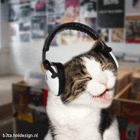 Cat placeholder