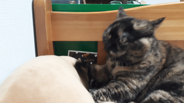 Random GIF