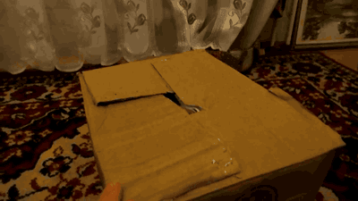 Random GIF