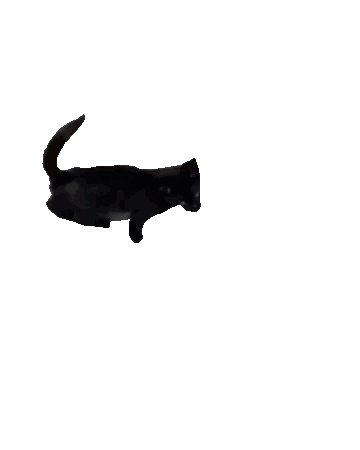 Random GIF