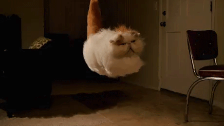 Random GIF