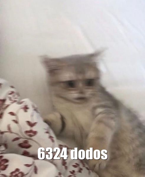 Chat dodos