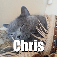 Photo of Chris