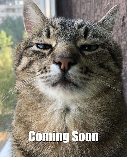 Scholarship info coming soon