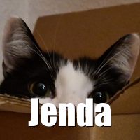 Photo of Jenda