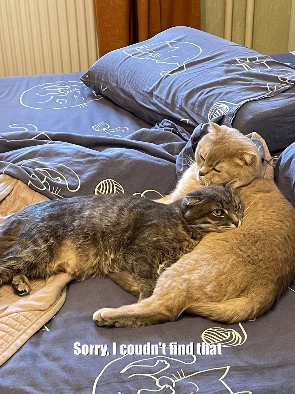 Catass