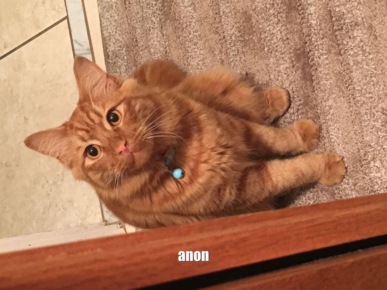 Аноним