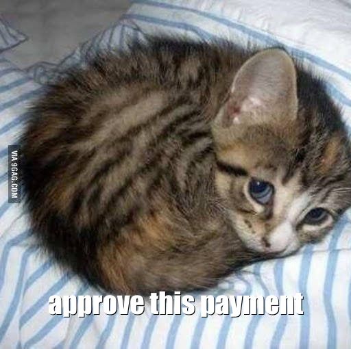A cat with the caption approve this payment