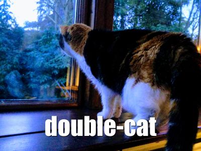 Double Cat