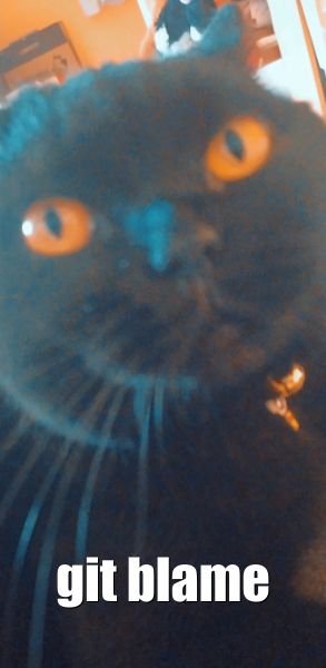 git blame cat