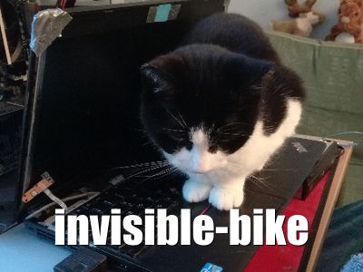 Invisible Bike Cat