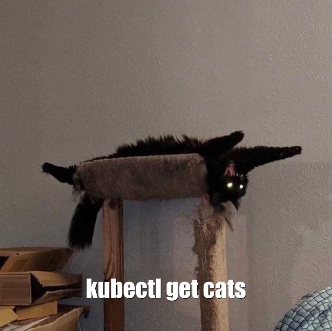 kubernetes cat