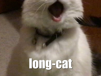 Long Cat