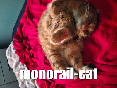 Monorail Cat