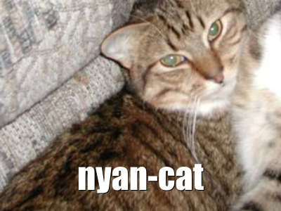 Nyan Cat