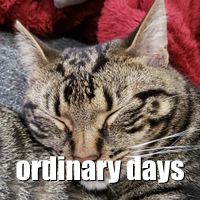 i want to be around for the ordinary parts. most of them.