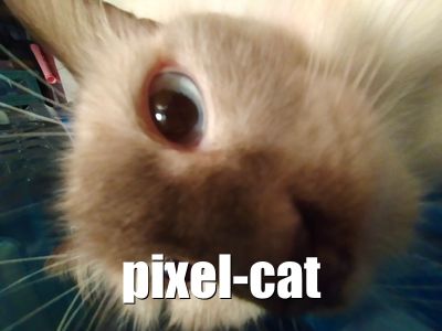 Pixel Cat
