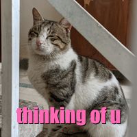 i want to send you little things that make you smile