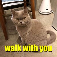 i want to go on long walks with you