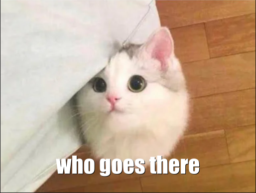 A cat with the caption who goes there, standing in for an authenticator checking identity