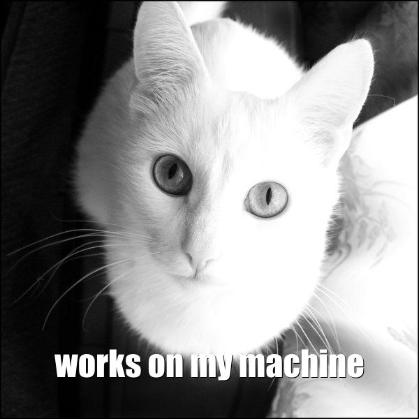 A random cat saying it works on my machine