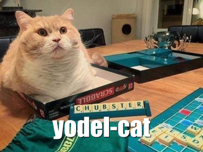 Yodel Cat