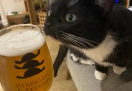 Platzhalter (Katze) für Teilnehmer-Feedback 4 – in Leadpages durch Screenshot ersetzen