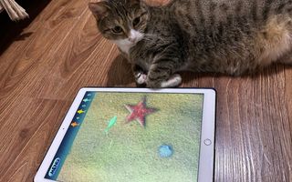 chat