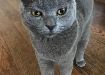 같은 얼굴의 다른 결과 원인을 설명하는 블로그 썸네일