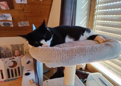 서비스 업데이트 내역을 소개하는 블로그 썸네일