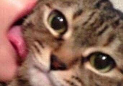 눈높이 정면샷 촬영 팁 썸네일