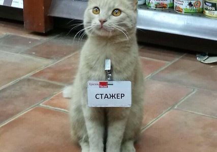 친구와 함께 하는 밸런스 게임 썸네일