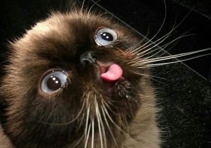 썸네일 클릭 전환 기능 업데이트 썸네일