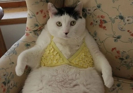 결과 확률 차이 해석 가이드 썸네일