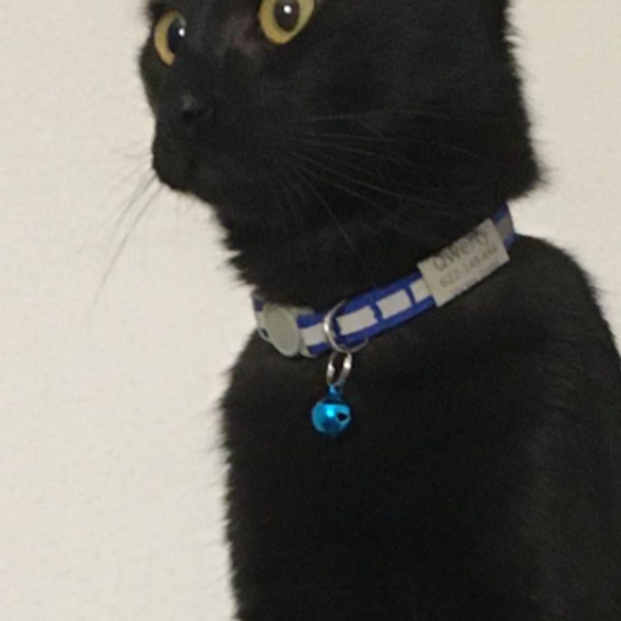 Profil de furabelly8341, Oriental de 11 ans