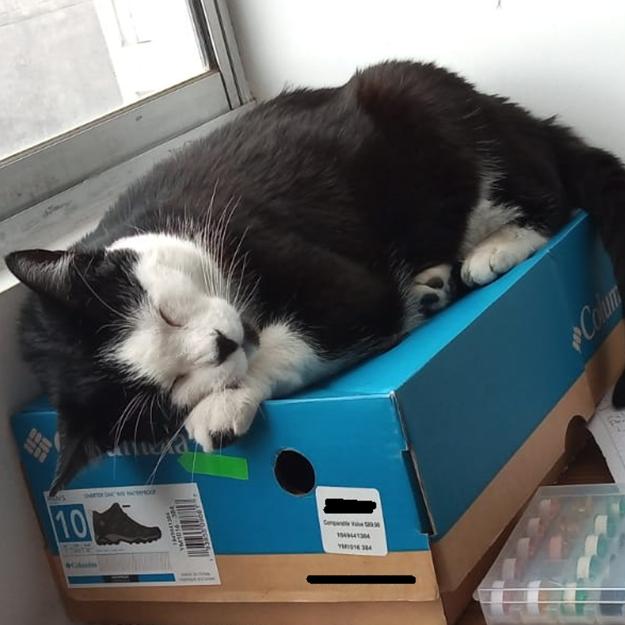 Profil de qivabelly2746, Norvégien de 9 ans