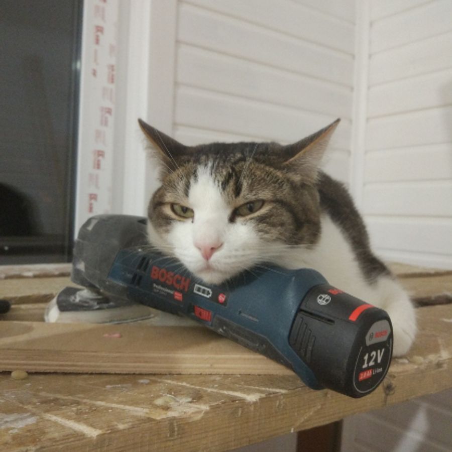 myzabelly6938 - Photo 2