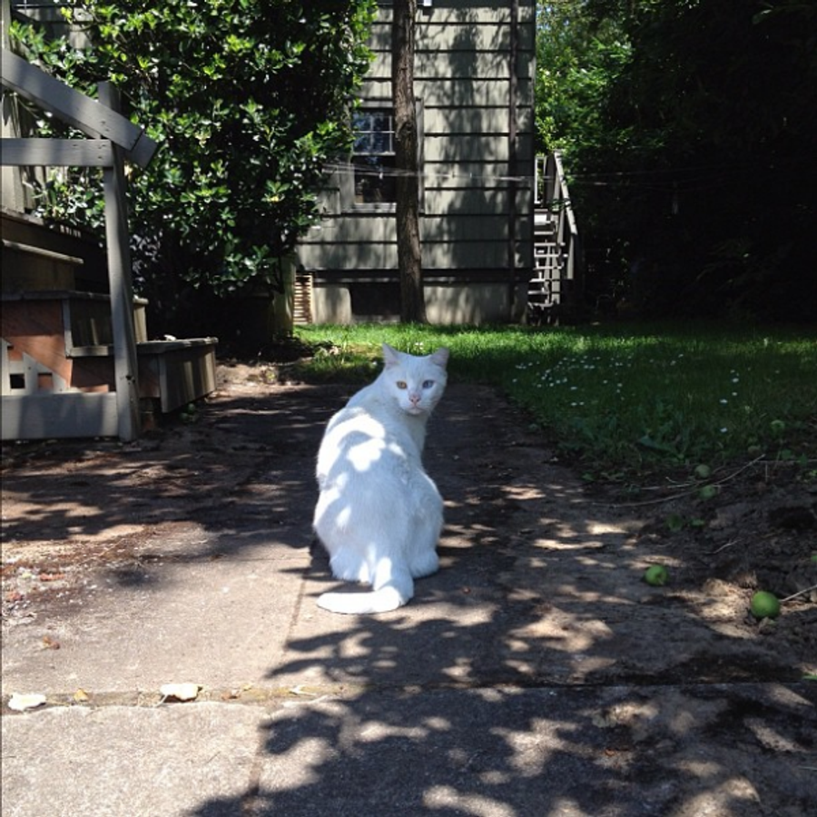 gylobelly1487 - Photo 2