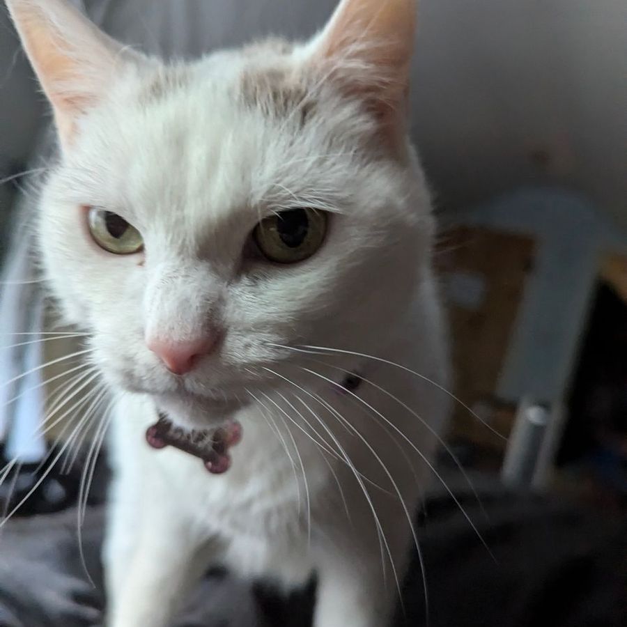 dravamiss6837 - Photo 2