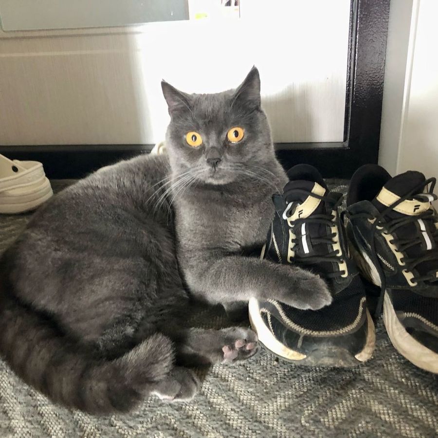 Profil de clunamiss9172, Savannah de 4 ans