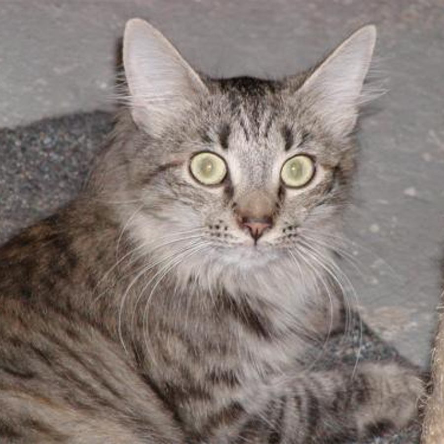 fynabelly4761 - Photo 4
